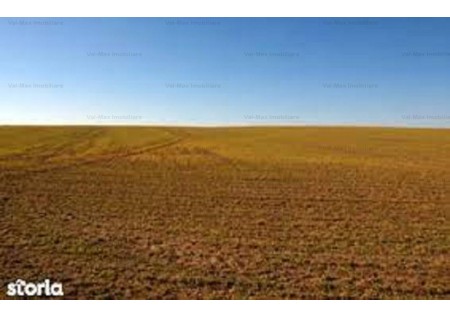 teren intravilan chiajna